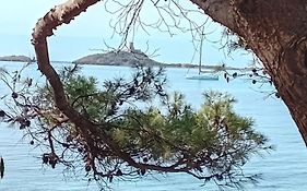 Domu Marietta